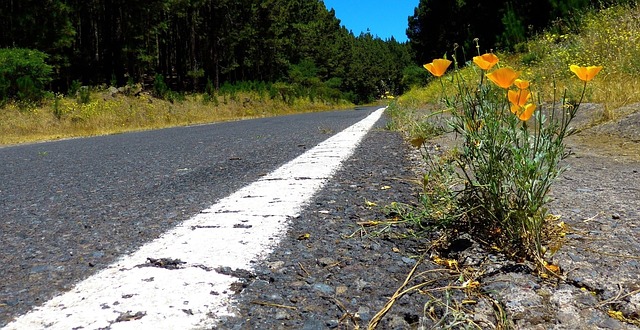 road-3324442_640.jpg